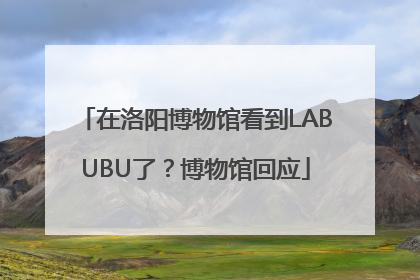 在洛阳博物馆看到LABUBU了？博物馆回应