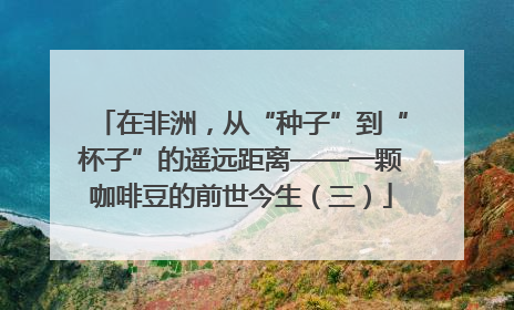 在非洲，从“种子”到“杯子”的遥远距离——一颗咖啡豆的前世今生（三）