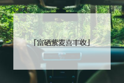 富硒紫麦喜丰收
