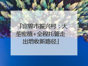 富锦市振兴村：大垄密植+全程托管走出增收新路径