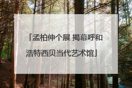 孟柏伸个展 揭幕呼和浩特西贝当代艺术馆
