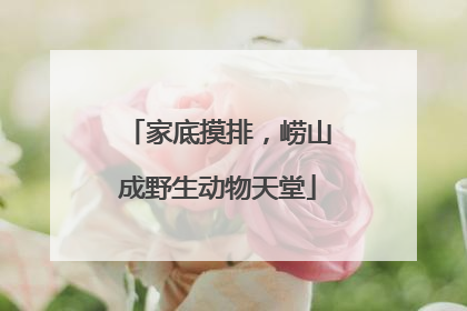 家底摸排，崂山成野生动物天堂
