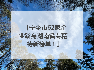 宁乡市62家企业跻身湖南省专精特新榜单！
