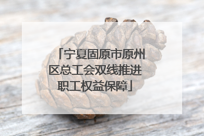 宁夏固原市原州区总工会双线推进职工权益保障