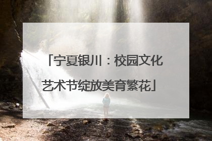 宁夏银川：校园文化艺术节绽放美育繁花