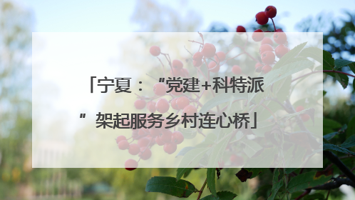 宁夏：“党建+科特派”架起服务乡村连心桥