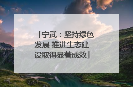 宁武：坚持绿色发展 推进生态建设取得显著成效