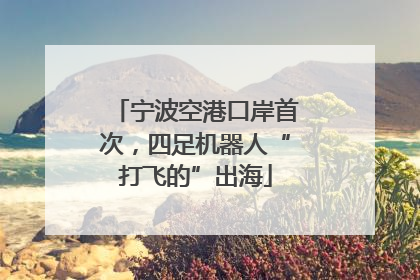 宁波空港口岸首次，四足机器人“打飞的”出海