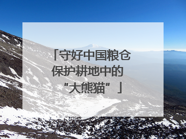 守好中国粮仓 保护耕地中的“大熊猫”