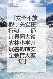 安全不放假，关爱在行动——庐江县同大镇农林小学开展暑假前安全教育大家访