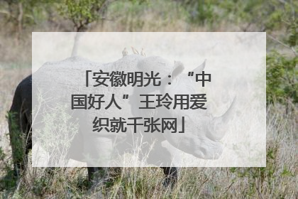 安徽明光：“中国好人”王玲用爱织就千张网