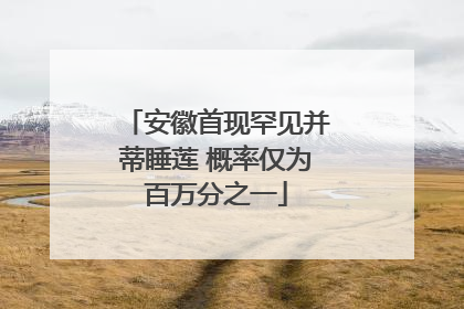 安徽首现罕见并蒂睡莲 概率仅为百万分之一