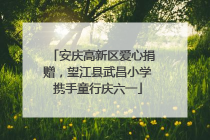 安庆高新区爱心捐赠，望江县武昌小学携手童行庆六一