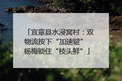 宜章县水浸窝村：双物流按下“加速键” 杨梅锁住“枝头鲜”