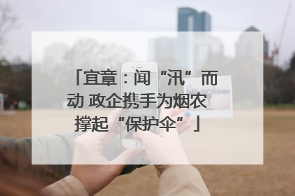 宜章：闻“汛”而动 政企携手为烟农撑起“保护伞”