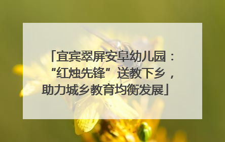 宜宾翠屏安阜幼儿园：“红烛先锋”送教下乡，助力城乡教育均衡发展