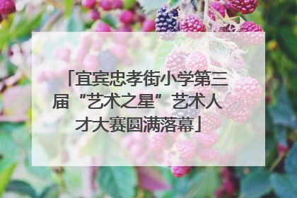 宜宾忠孝街小学第三届“艺术之星”艺术人才大赛圆满落幕