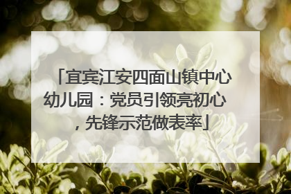 宜宾江安四面山镇中心幼儿园：党员引领亮初心，先锋示范做表率