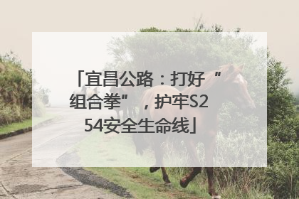 宜昌公路：打好“组合拳”，护牢S254安全生命线