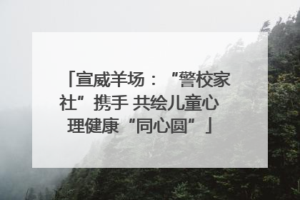 宣威羊场：“警校家社”携手 共绘儿童心理健康“同心圆”