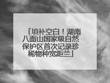 填补空白！湖南八面山国家级自然保护区首次记录珍稀物种宽距兰