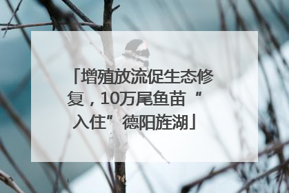 增殖放流促生态修复，10万尾鱼苗“入住”德阳旌湖