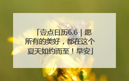壹点日历6.6｜愿所有的美好，都在这个夏天如约而至！早安