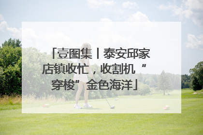 壹图集丨泰安邱家店镇收忙，收割机“穿梭”金色海洋