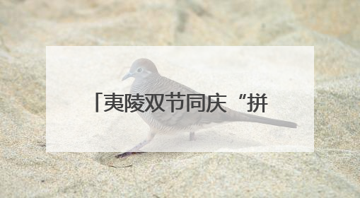 夷陵双节同庆“拼”出消费新图景