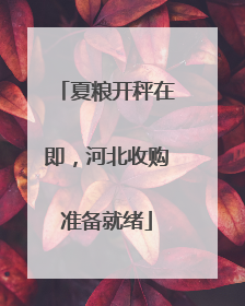夏粮开秤在即，河北收购准备就绪