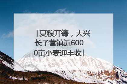 夏粮开镰，大兴长子营镇近6000亩小麦迎丰收