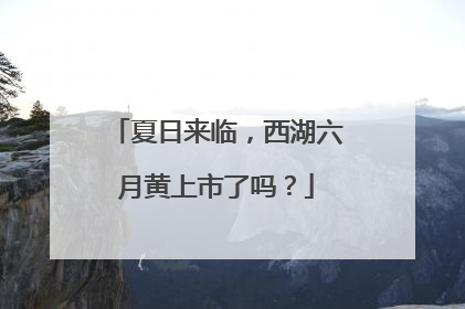 夏日来临，西湖六月黄上市了吗？