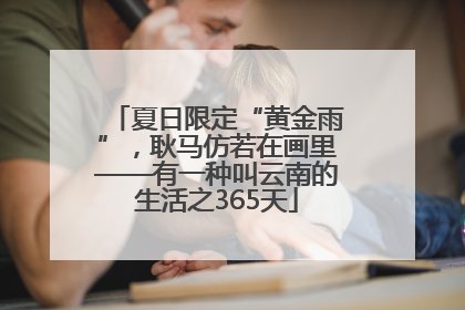 夏日限定“黄金雨”，耿马仿若在画里——有一种叫云南的生活之365天