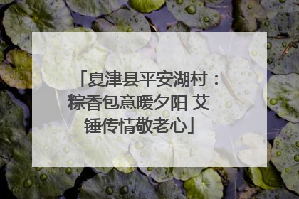 夏津县平安湖村：粽香包意暖夕阳 艾锤传情敬老心
