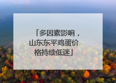 多因素影响，山东东平鸡蛋价格持续低迷