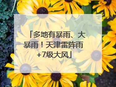 多地有暴雨、大暴雨！天津雷阵雨+7级大风
