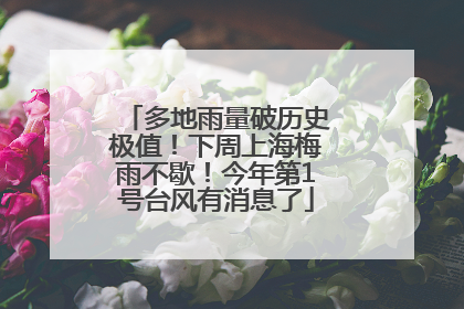 多地雨量破历史极值！下周上海梅雨不歇！今年第1号台风有消息了