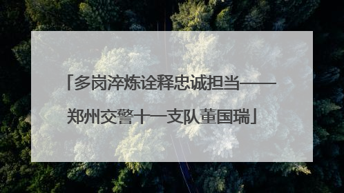 多岗淬炼诠释忠诚担当——郑州交警十一支队董国瑞