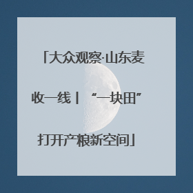 大众观察·山东麦收一线丨“一块田”打开产粮新空间