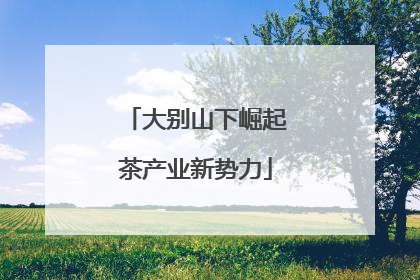 大别山下崛起茶产业新势力