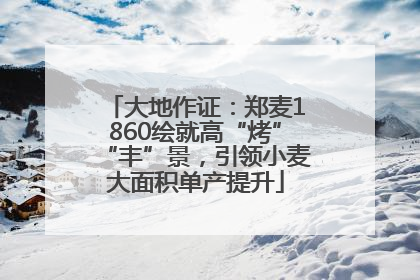 大地作证：郑麦1860绘就高“烤”“丰”景，引领小麦大面积单产提升