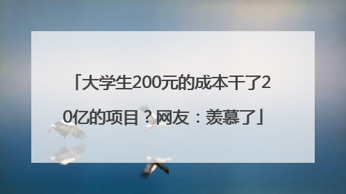 大学生200元的成本干了20亿的项目？网友：羡慕了