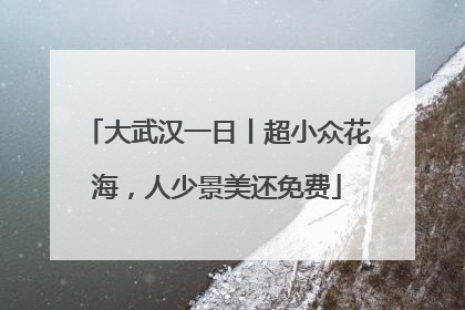 大武汉一日丨超小众花海，人少景美还免费