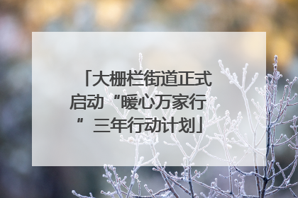 大栅栏街道正式启动“暖心万家行”三年行动计划