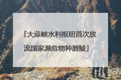大藤峡水利枢纽首次放流国家濒危物种唇鲮