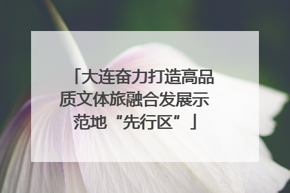 大连奋力打造高品质文体旅融合发展示范地“先行区”