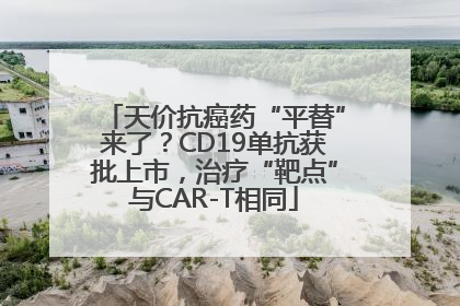 天价抗癌药“平替”来了？CD19单抗获批上市，治疗“靶点”与CAR-T相同