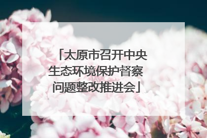 太原市召开中央生态环境保护督察问题整改推进会