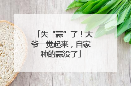失“蒜”了！大爷一觉起来，自家种的蒜没了