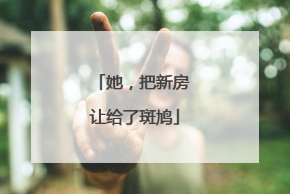 她，把新房让给了斑鸠
